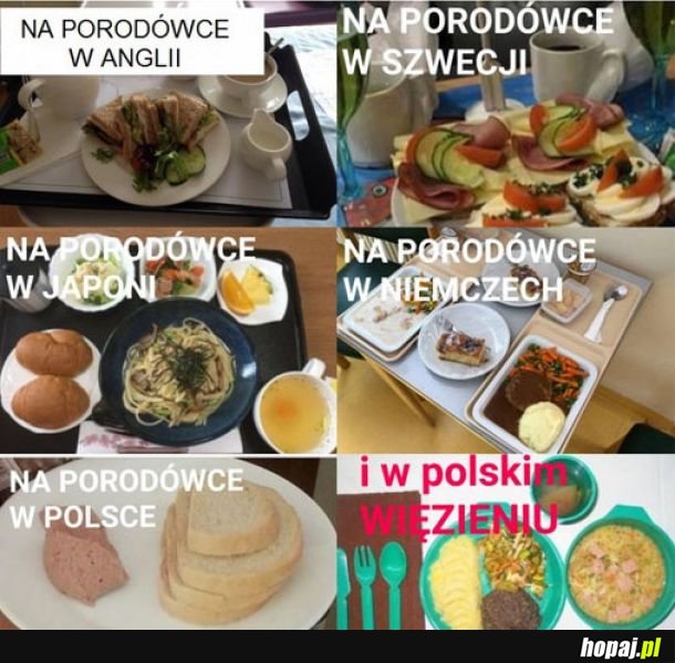 Porównanie posiłków 