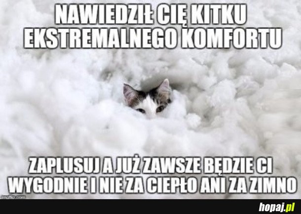 NIE RYZYKOWAŁBYM, JESIEŃ JUŻ NAS KĄSA