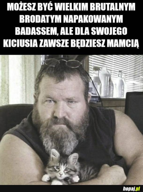 Kiciuś