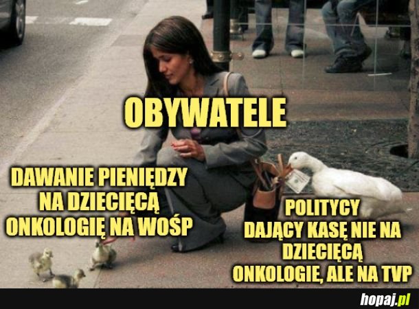 WOŚP.