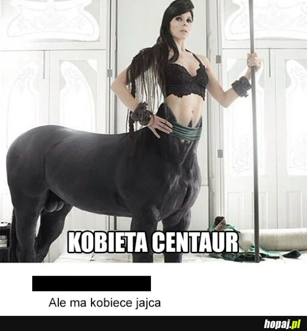 Kobieta centaur