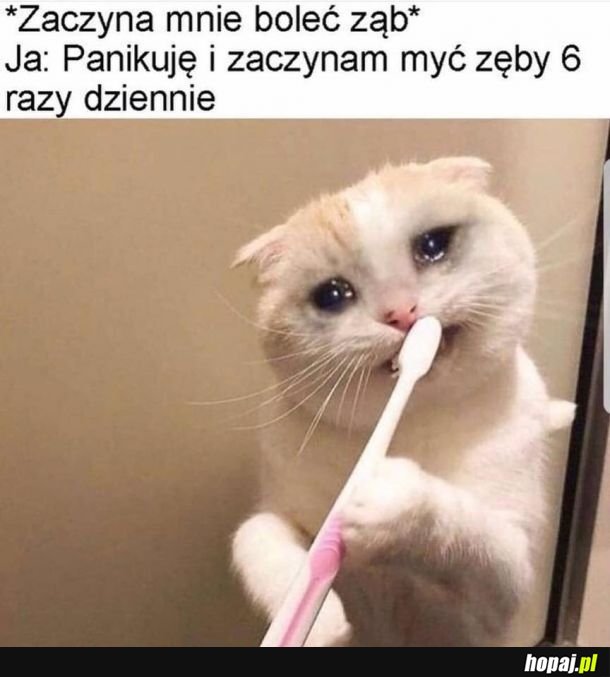 O nie o nie o nie