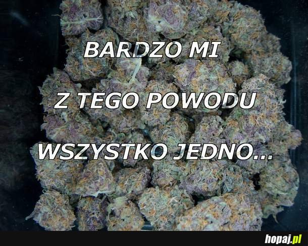 Bardzo mi z tego powodu wszystko jedno