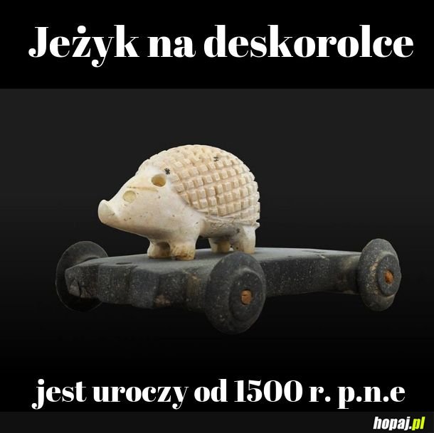 Jeżyk 