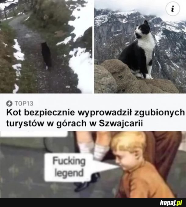 Prawdziwy bohater