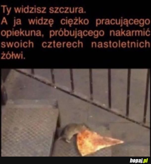 Żółwie ninja