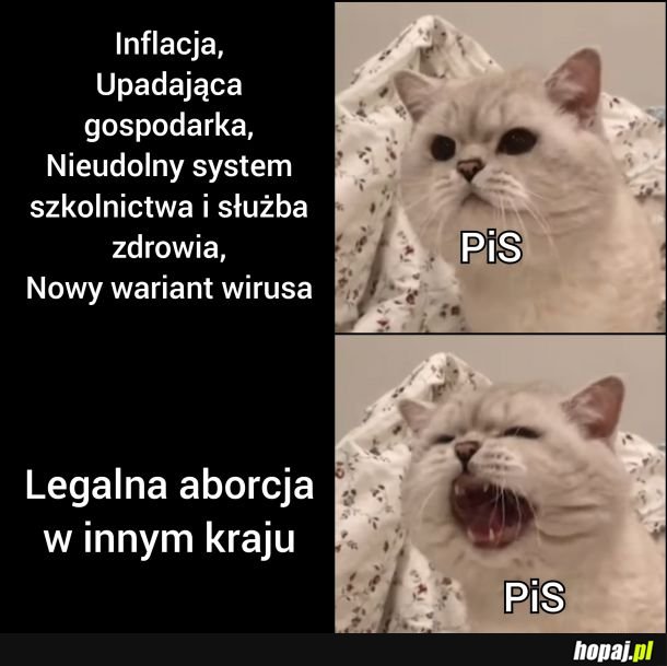 Bo są problemy ważne i ważniejsze