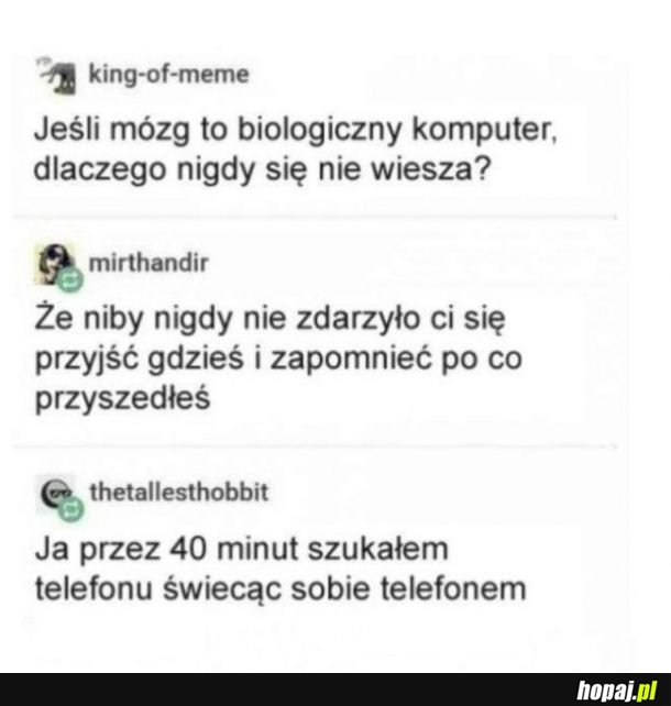 Lag mózgu