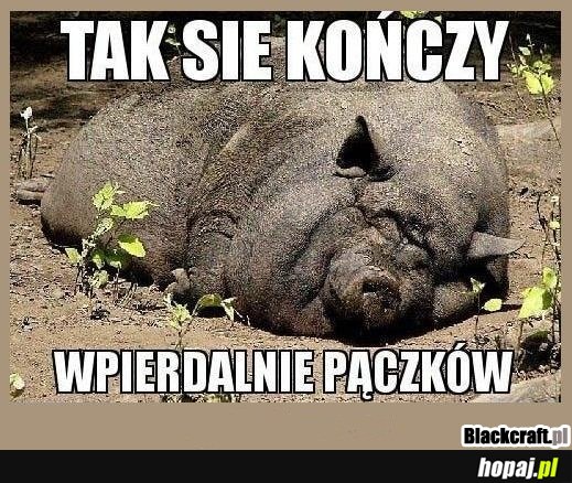 Tak się kończy wpierdalanie pączków