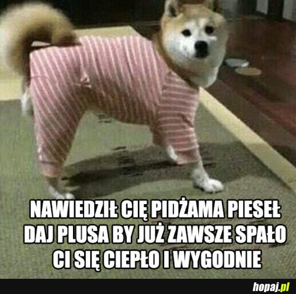 PIDŻAMA PIESEŁ