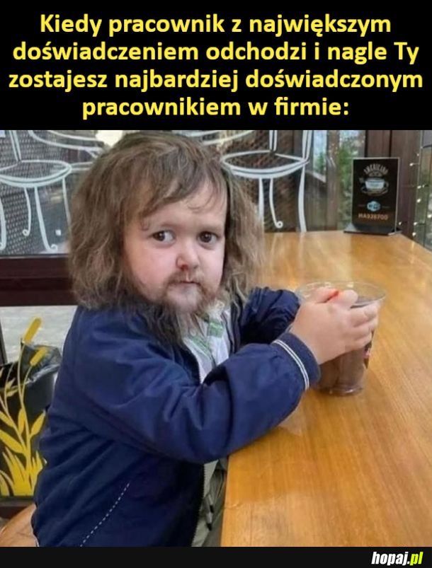 Doświadczenie