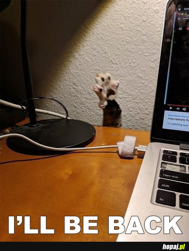 Terminate 