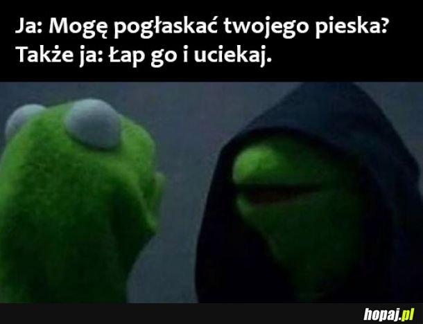 Drugi głos