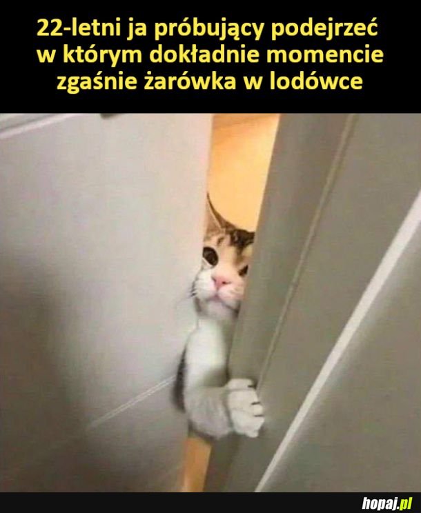 Żarówka w lodówce