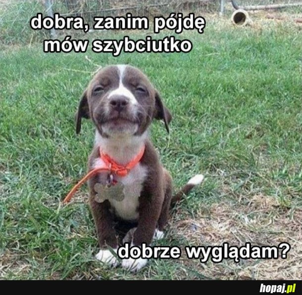 SŁODKIE PYTANIE!