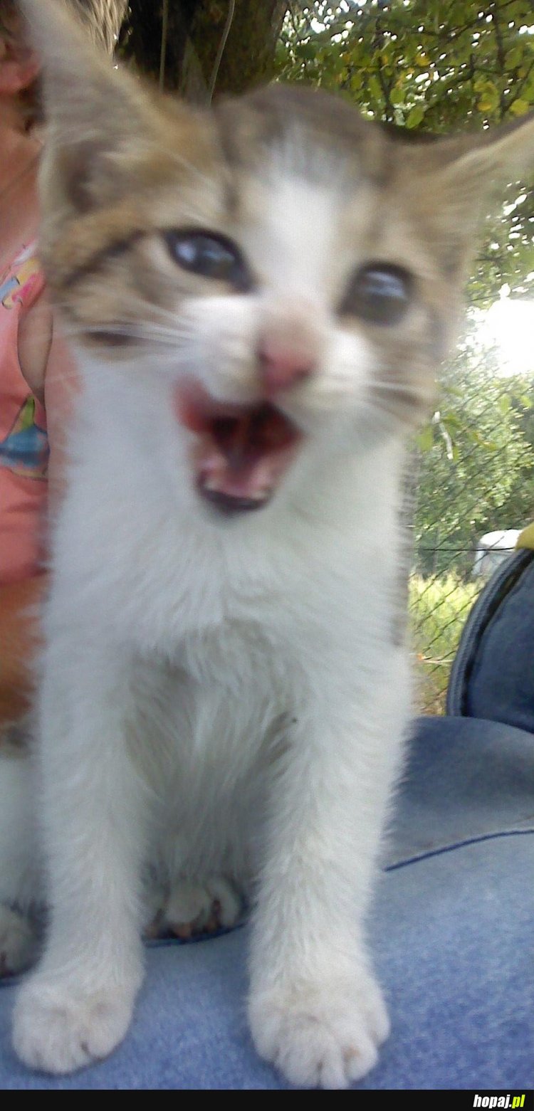 :D