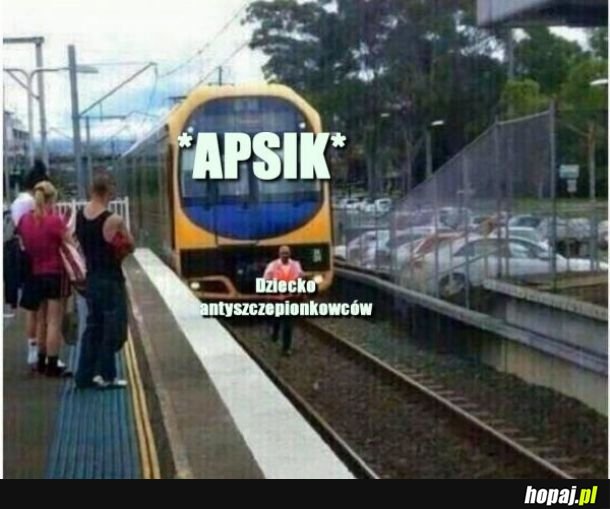 Apsik 