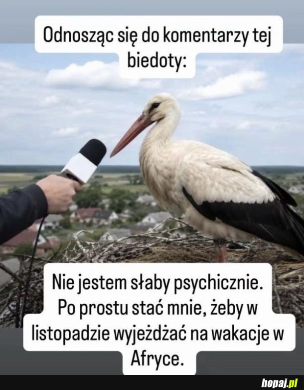 Wywiad