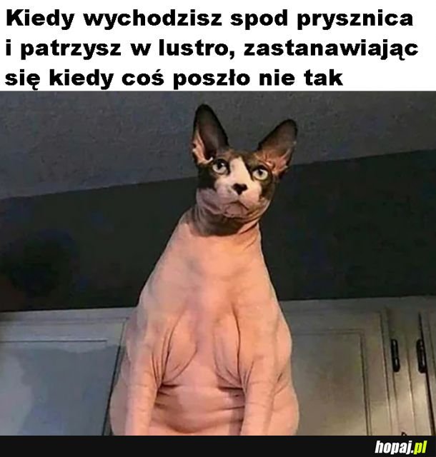 Coś poszło nie tak