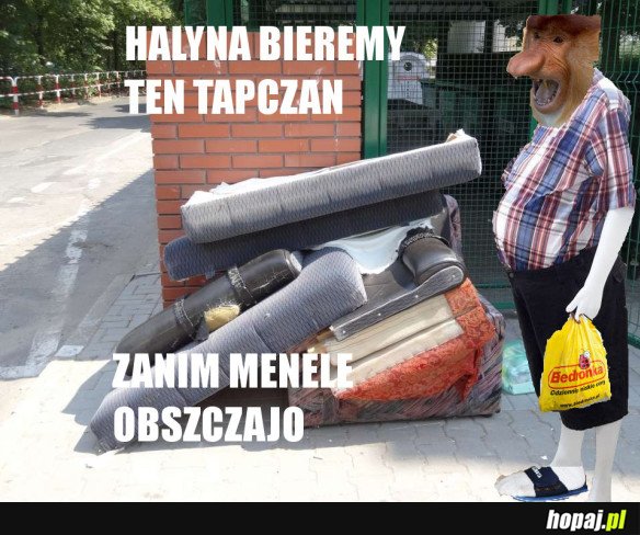 JANUSZ W MEBLOWYM