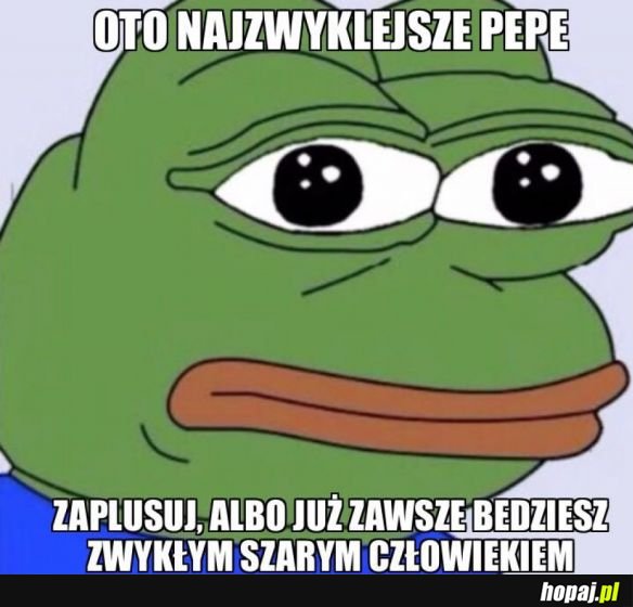 Zwykły pepe