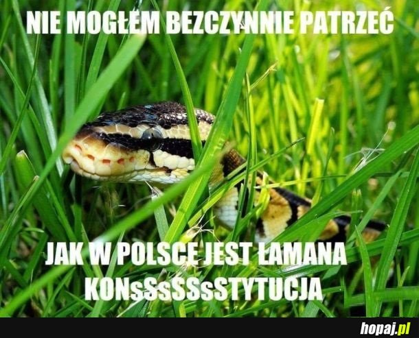 Nie da się wytrzymać