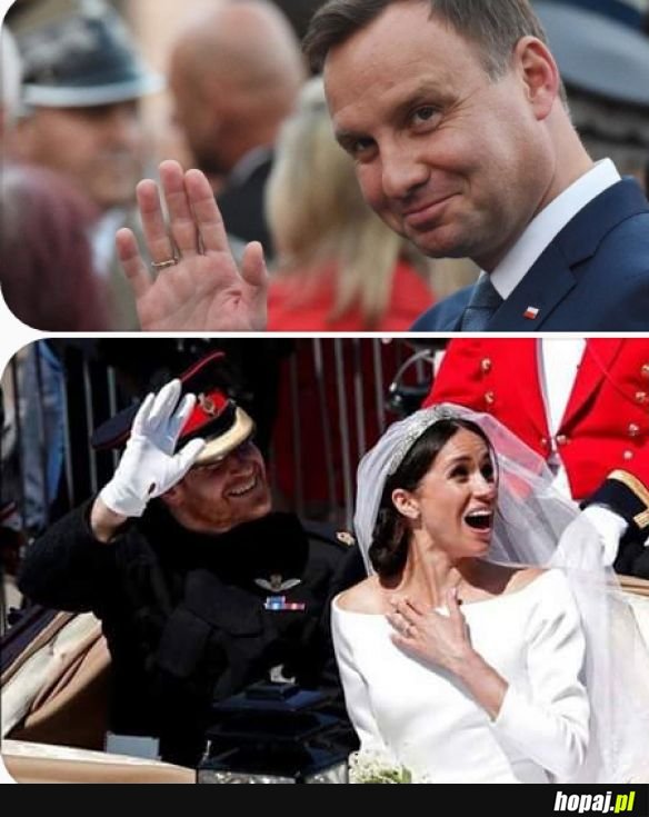 Duda