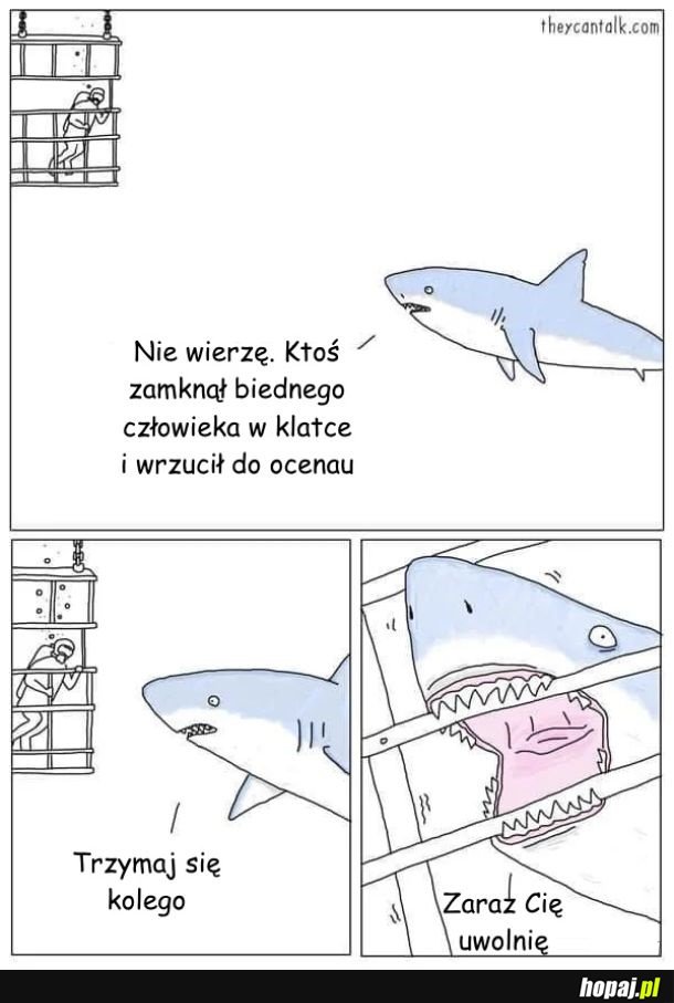 Empatyczny rekin