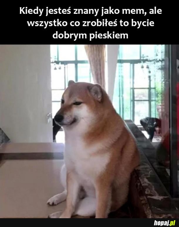 Dobry piesek