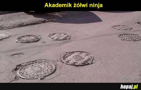 Nietypowy akademik