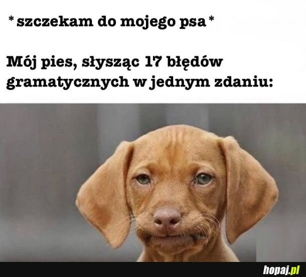 Chyba we mnie zwątpił