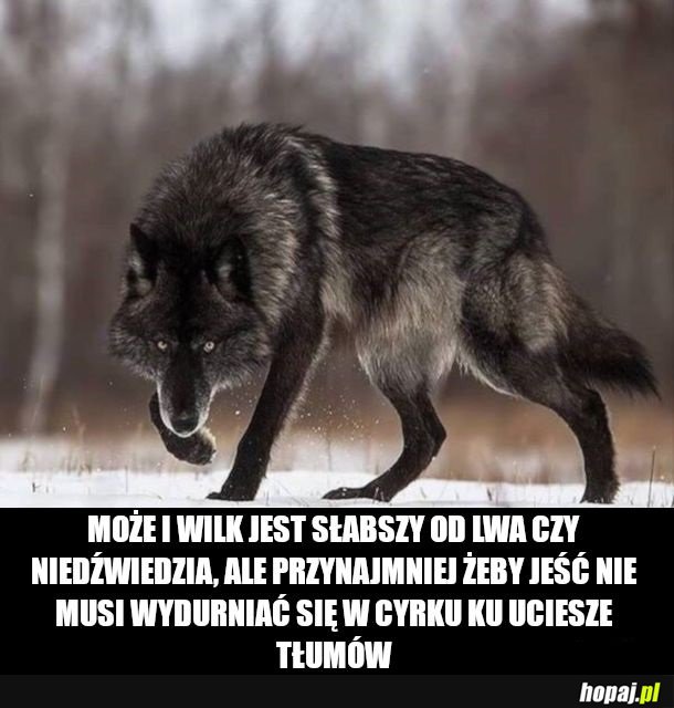 Godność