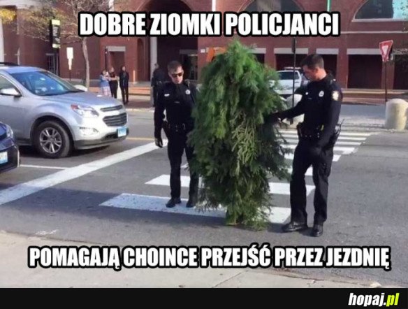 Dobre ziomki