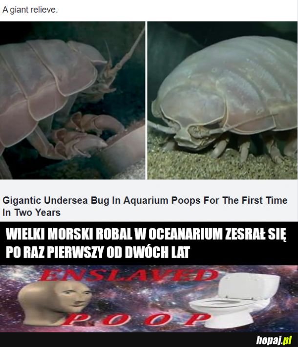 Wielka ulga c nie
