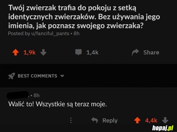 MAM JE WSZYSTKIE 