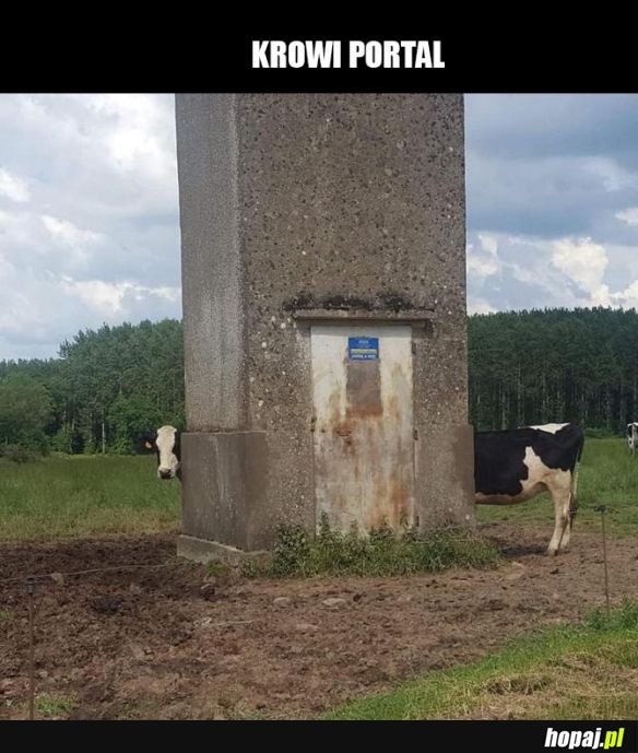 Portal