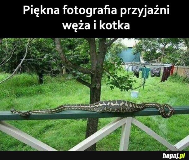 Piękne