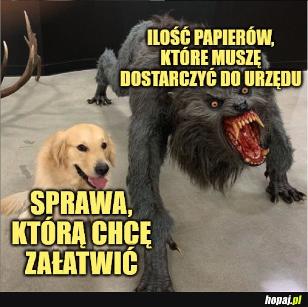 Urząd. 