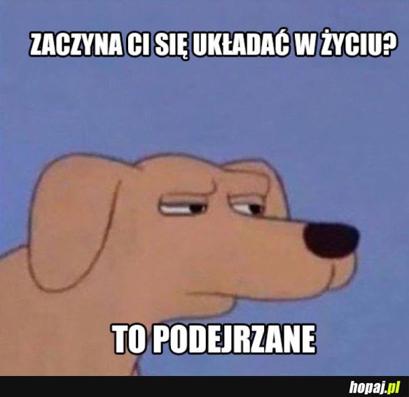 Ciekawe...
