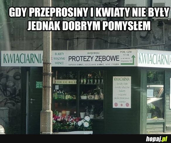 Nowe ząbki