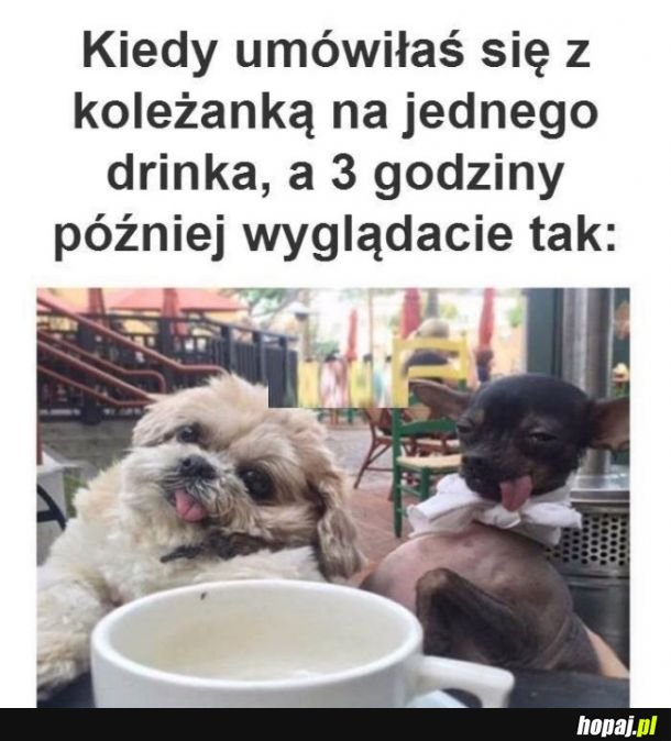 Melanże z wariatkami takie są