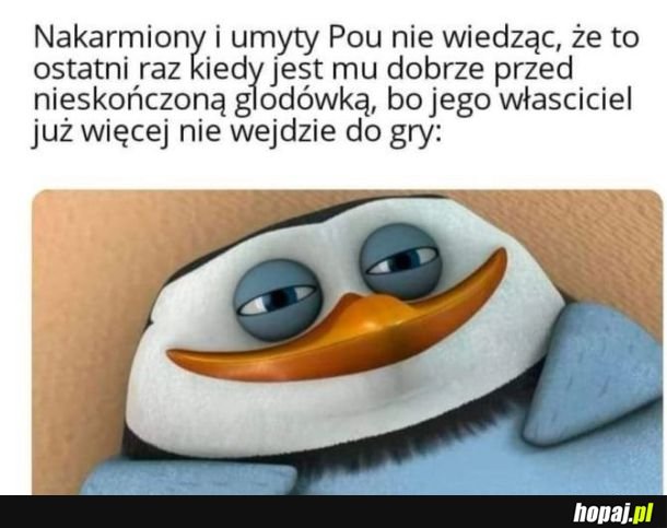 Pou