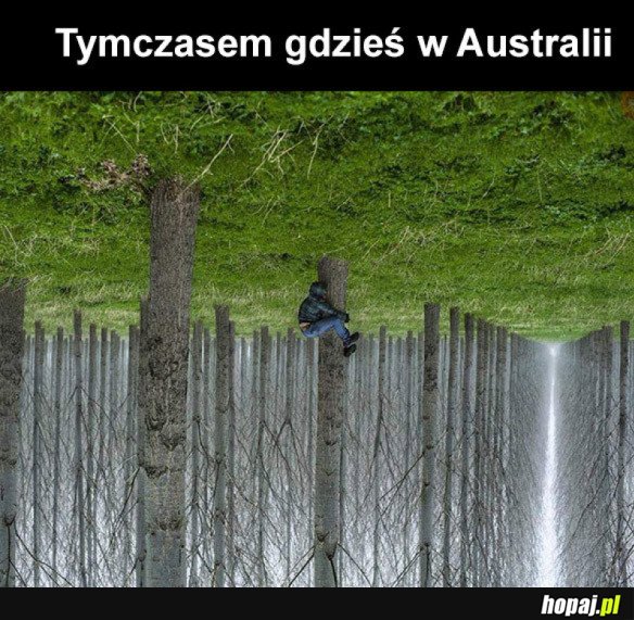 TYMCZASEM W AUSTRALII