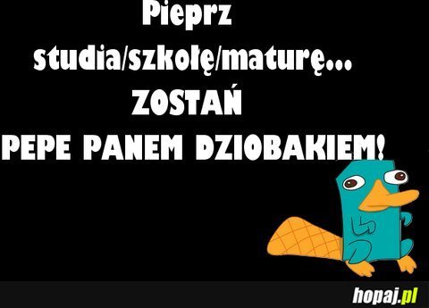 Pieprz studia, szkołę, maturę