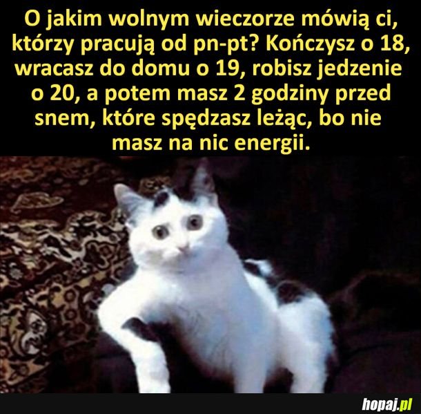 Mityczny wolny wieczór