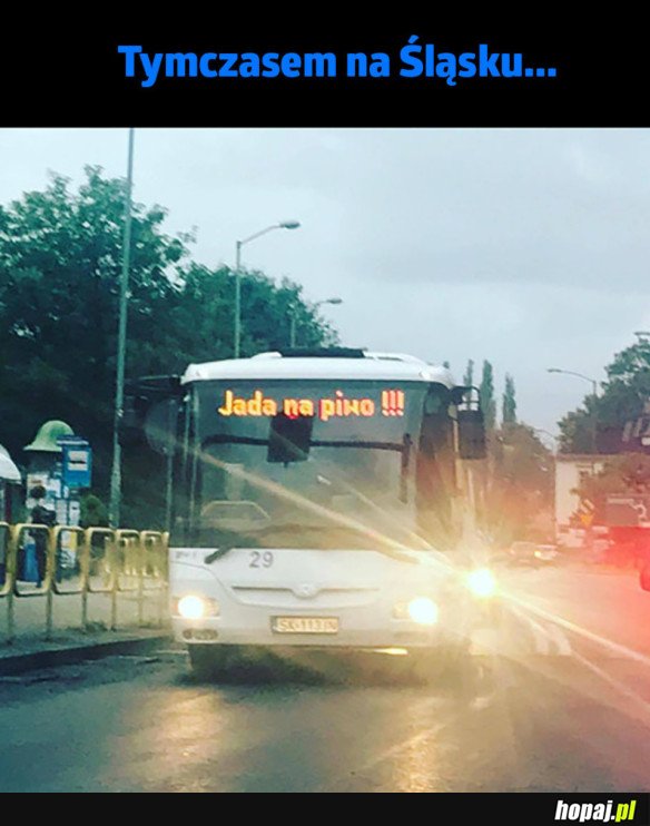 NAJLEPSZY BUS W MIEŚCIE