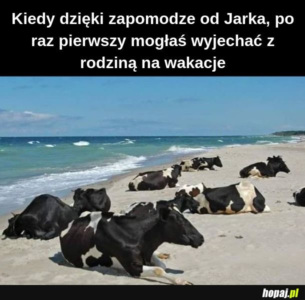 Pamiętniki z wakacji 