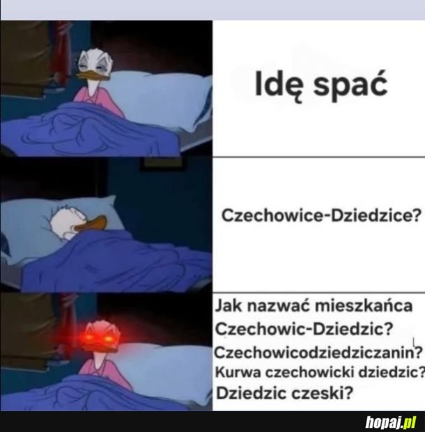 Mieszkańcy Czechowic-Dziedzic