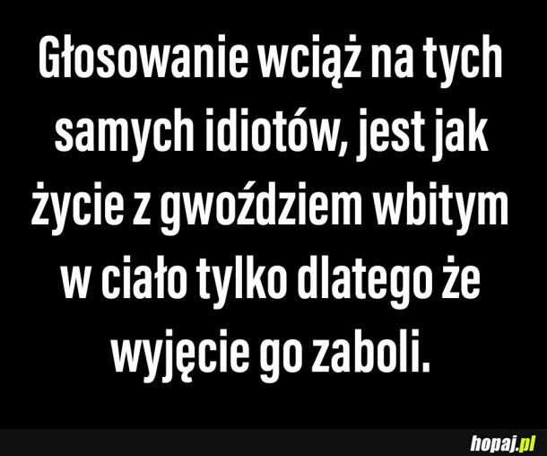  Nie mogę spać bo zajrzałem do polityki 