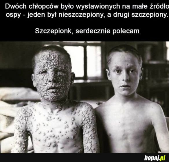 Polecamy szczepionki